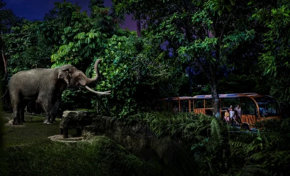 大人気！送迎付きナイトサファリ！<GW限定！ショー付きプランあり！>